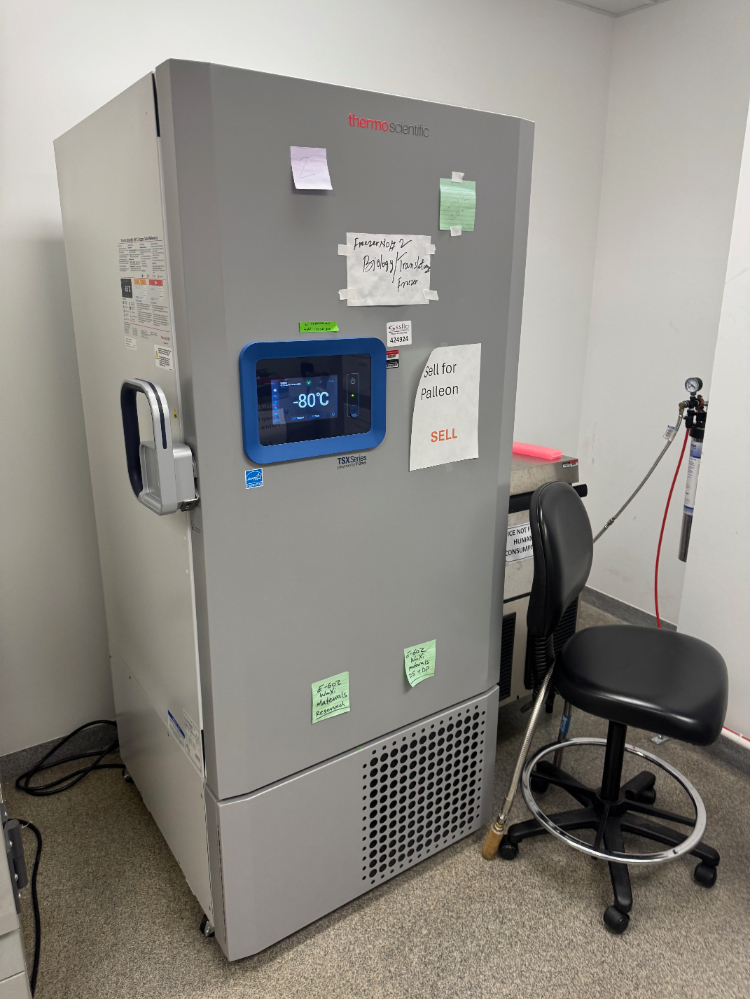 Image of Thermo TSX Series -80C Ultra Low Temp Freezer